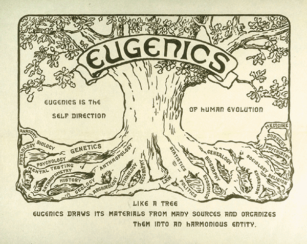 eugenics poster