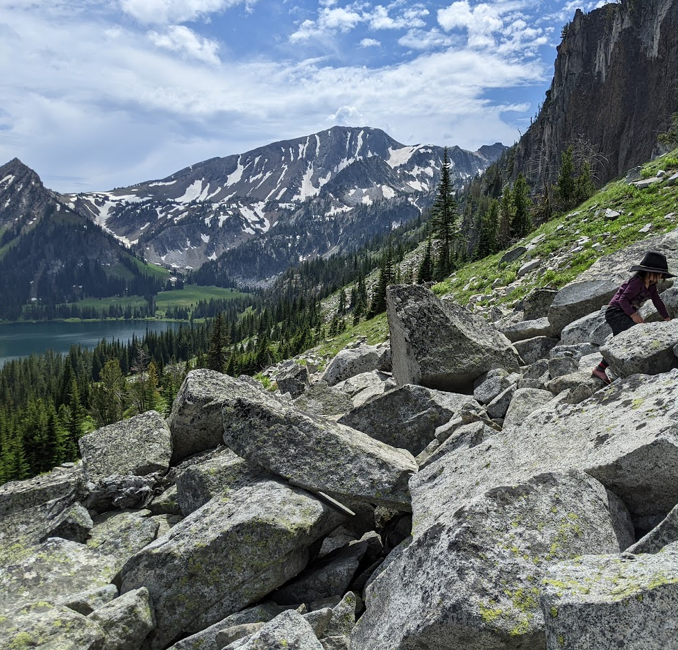 scree slope in the mountains